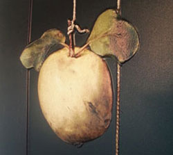 San Diego Talking Tactile Panel Detail