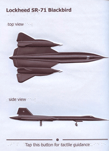 Shark Tactile Graphic